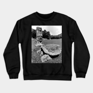 Mayan Ruins of Copan Cosmic turtle Crewneck Sweatshirt